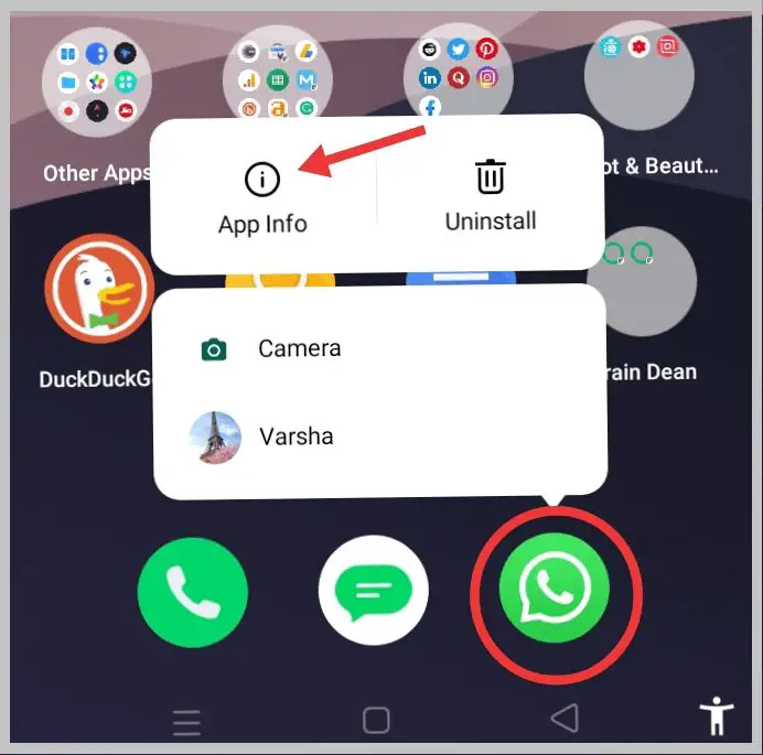 no video icon on whatsapp ipad